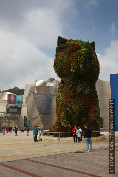 Puppy de Bilbao. Photo © Alex Medwedeff