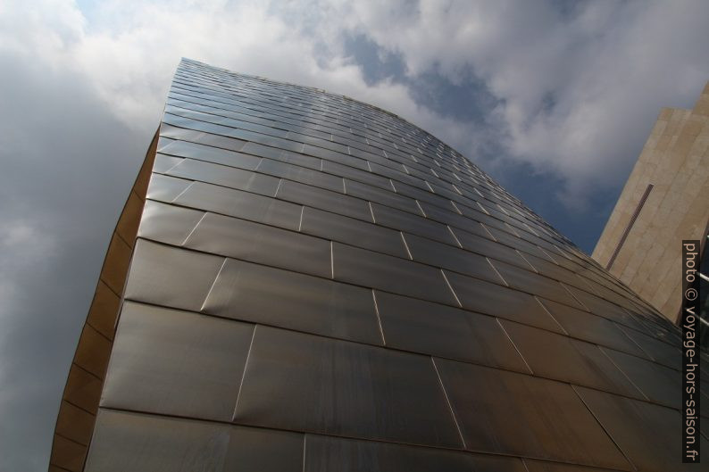 Écailles de titane couvrant le Musée Guggenheim de Bilbao. Photo © André M. Winter