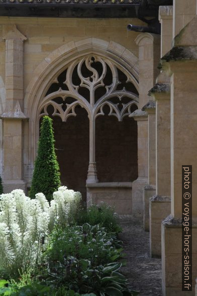 Remplage d'une arcade du cloître de Cadouin. Photo © Alex Medwedeff