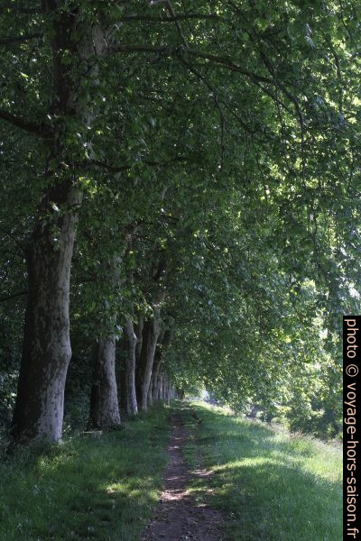 Sentier de terre battue au bord du Canal de Lalinde. Photo © Alex Medwedeff