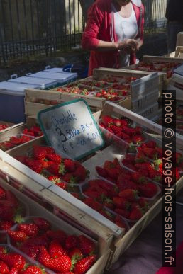 Fraises sur le marché de Bergerac. Photo © Alex Medwedeff