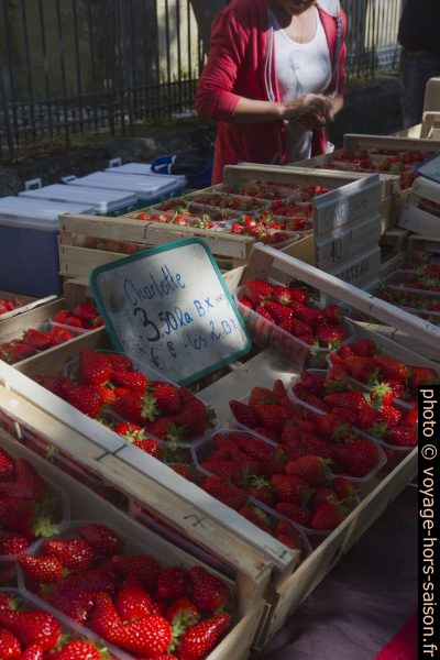 Fraises sur le marché de Bergerac. Photo © Alex Medwedeff
