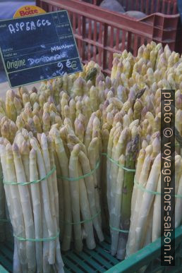 Asperges de Dordogne marché de Bergerac. Photo © Alex Medwedeff