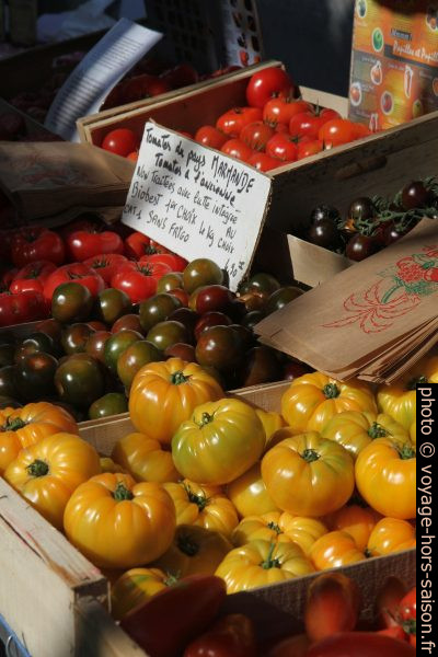 Tomates anciennes du Pays de Marmande au marché de Bergerac. Photo © Alex Medwedeff