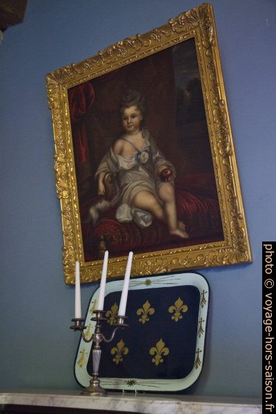 Un tableau du grand salon du Château de Lanquais. Photo © Alex Medwedeff