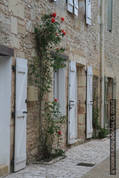 Rue du Bourg de Campagne. Photo © Alex Medwedeff