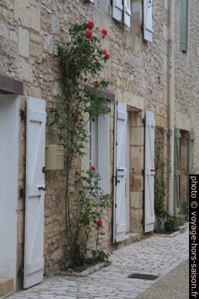 Rue du Bourg de Campagne. Photo © Alex Medwedeff