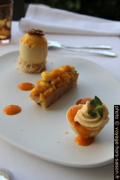 Dessert fruité. Photo © Alex Medwedeff