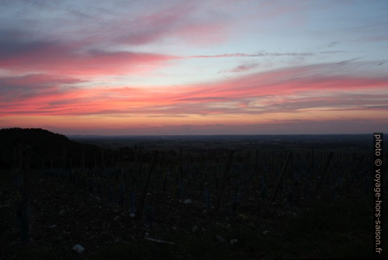 Coucher de soleil sur les vignobles de Monbazillac. Photo © Alex Medwedeff