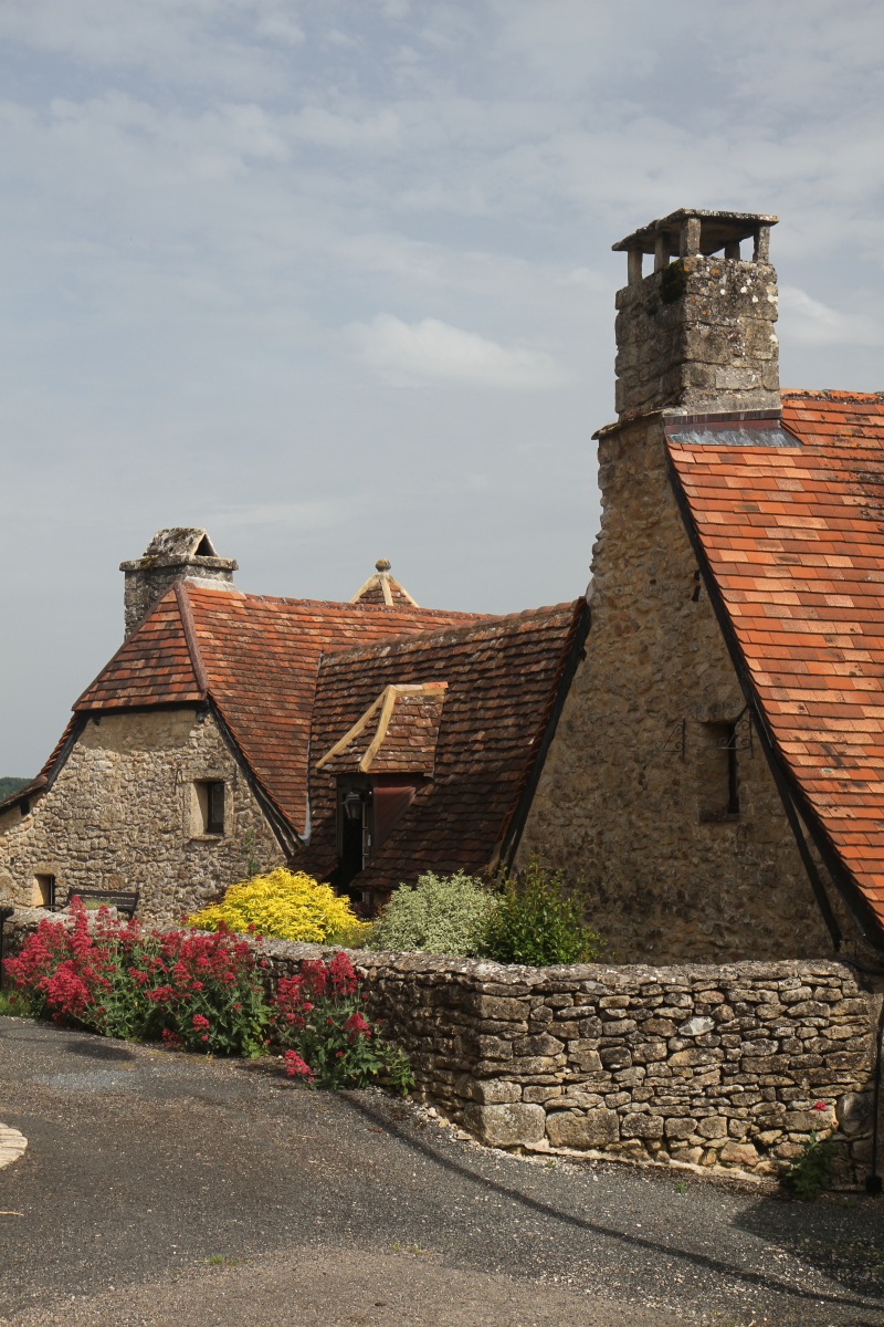 Maison aux toits très bas. Photo © Alex Medwedeff