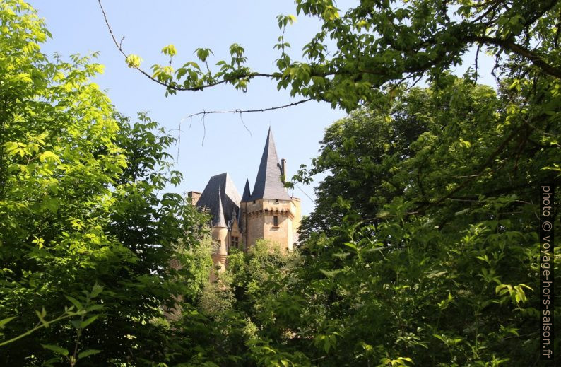 Flèches du Château de Clérans derrière les arbres. Photo © André M. Winter