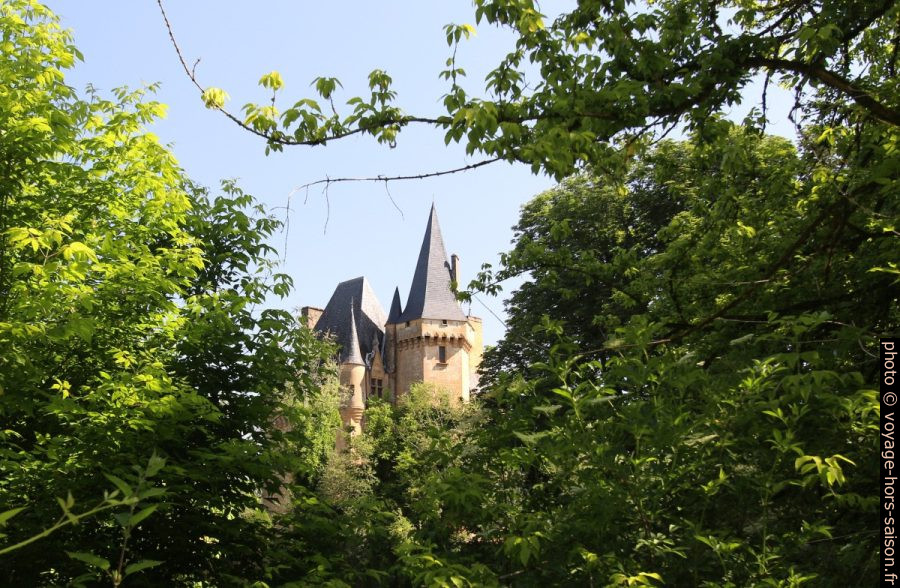 Flèches du Château de Clérans derrière les arbres. Photo © André M. Winter