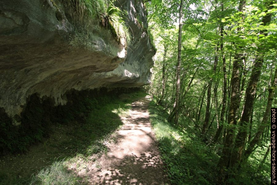 Falaise en surplomb au bord du chemin. Photo © André M. Winter