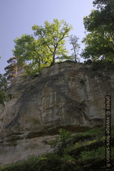 Falaise de Castel Merle. Photo © Alex Medwedeff