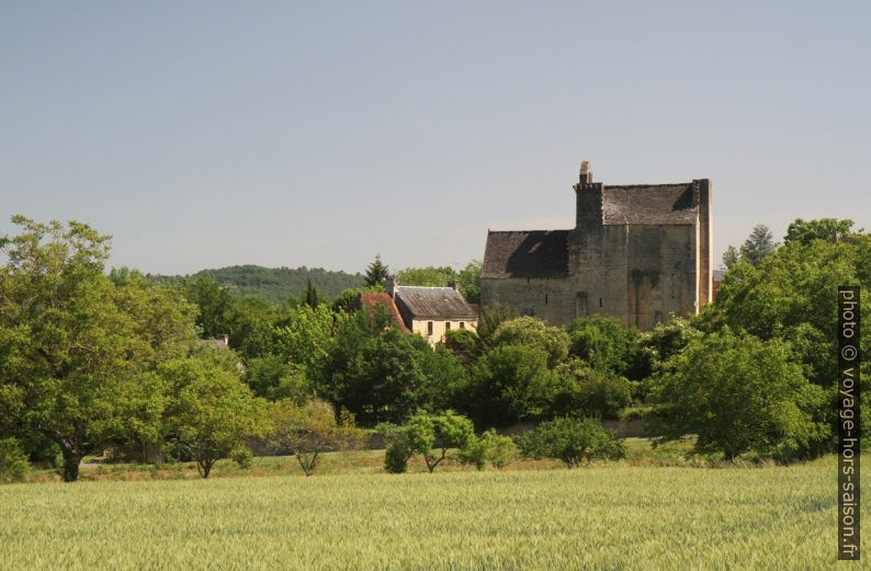 Vue vers Sergeac et son église. Photo © Alex Medwedeff