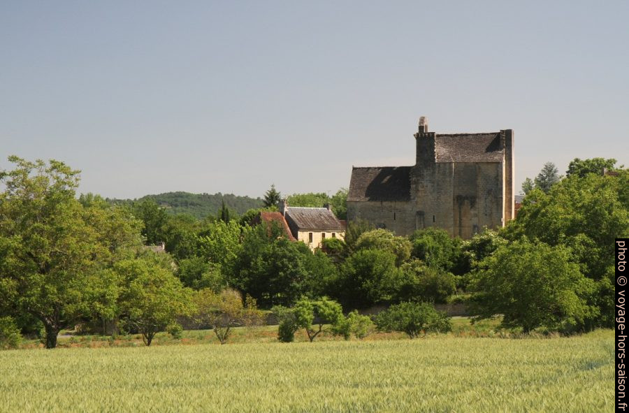 Vue vers Sergeac et son église. Photo © Alex Medwedeff