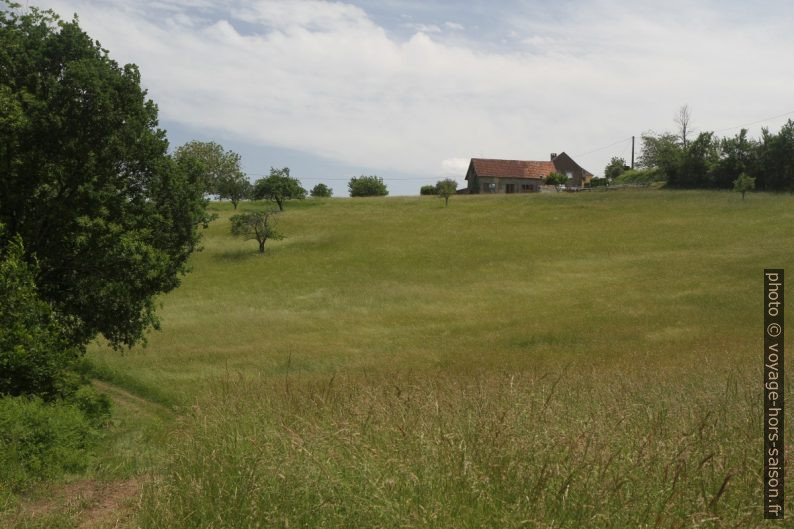 Prés du plateau de Chaillac. Photo © Alex Medwedeff