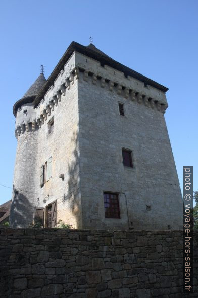 Donjon du château de Clérans à Saint-Léon-sur-Vézère. Photo © Alex Medwedeff