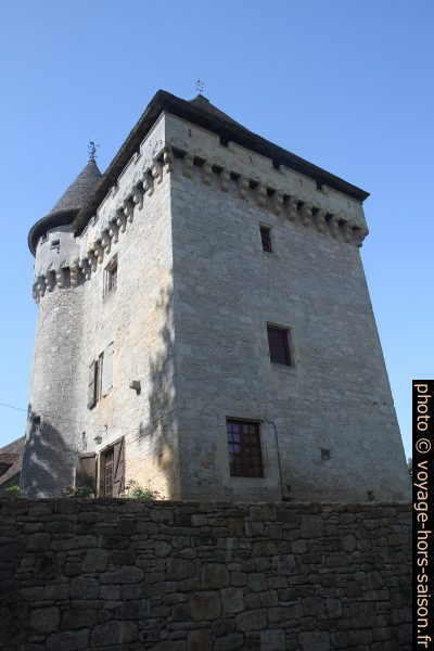 Donjon du château de Clérans à Saint-Léon-sur-Vézère. Photo © Alex Medwedeff