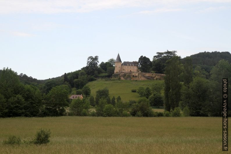 Château du Puech. Photo © Alex Medwedeff