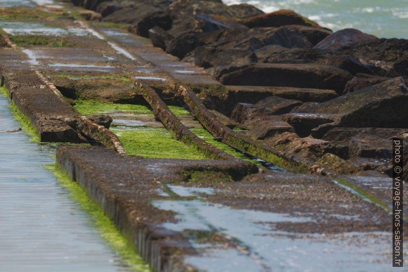 Vestiges des rails d'écartements différents formant le brise-mer à la Plage des Cantines. Photo © André M. Winter