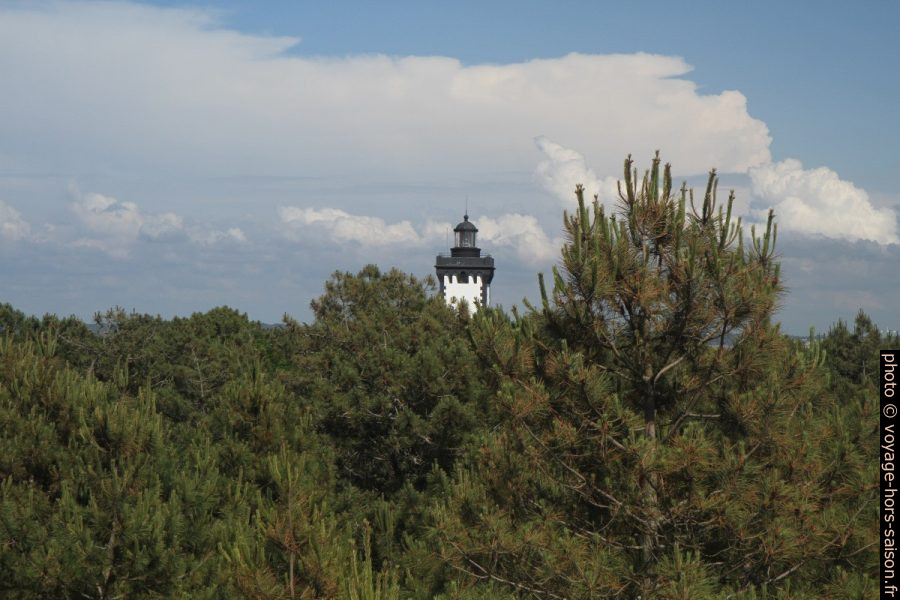 Le phare de la Pointe de la Grave dépassant des pins. Photo © Alex Medwedeff