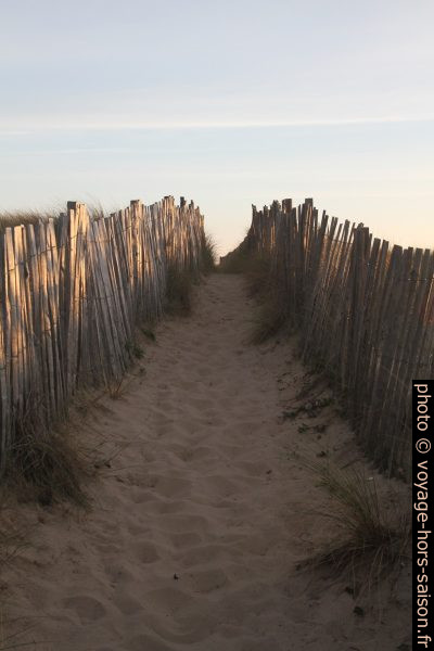 Chemin menant à la Plage des Cantines délimité par des ganivelles. Photo © Alex Medwedeff