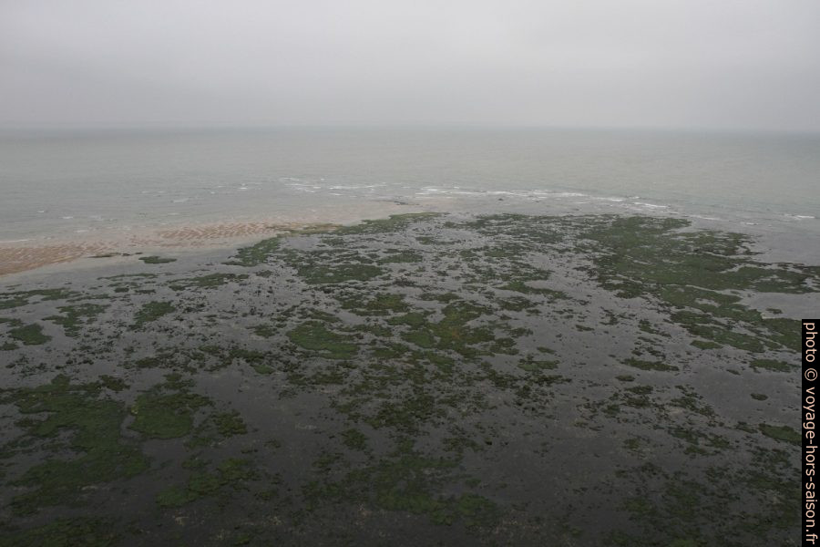 Plateau rocheux au sud-est du Phare de Cordouan. Photo © Alex Medwedeff