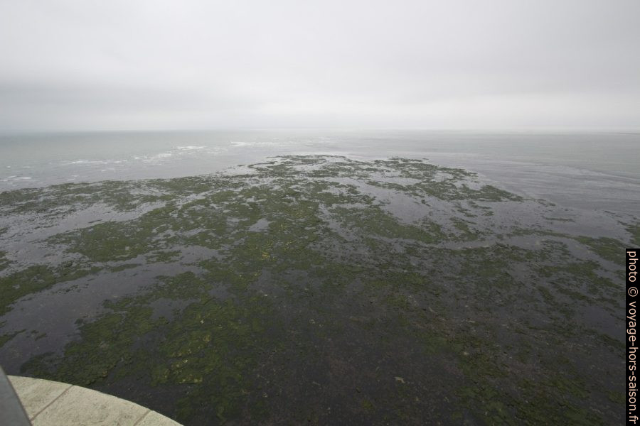 Plateau rocheux au sud-ouest du Phare de Cordouan. Photo © André M. Winter