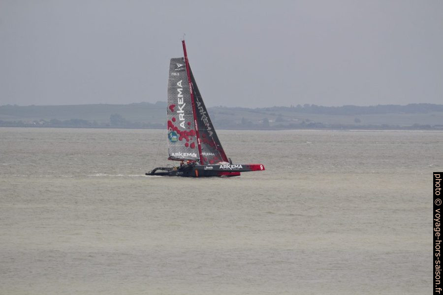 Voiler trimaran Arkema de la classe Multi50. Photo © André M. Winter