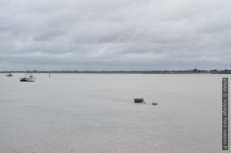 La Loire peu avant l'estuaire. Photo © Alex Medwedeff