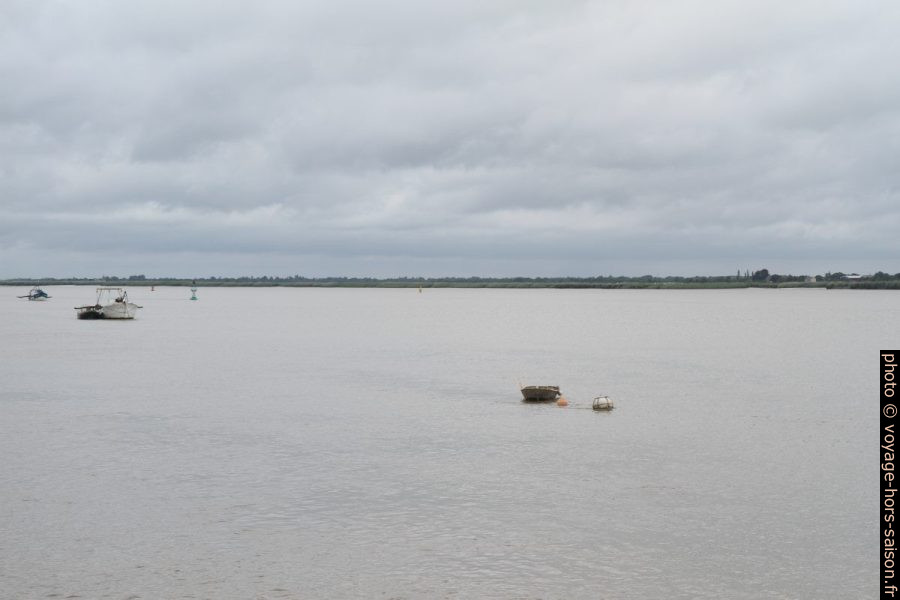 La Loire peu avant l'estuaire. Photo © Alex Medwedeff