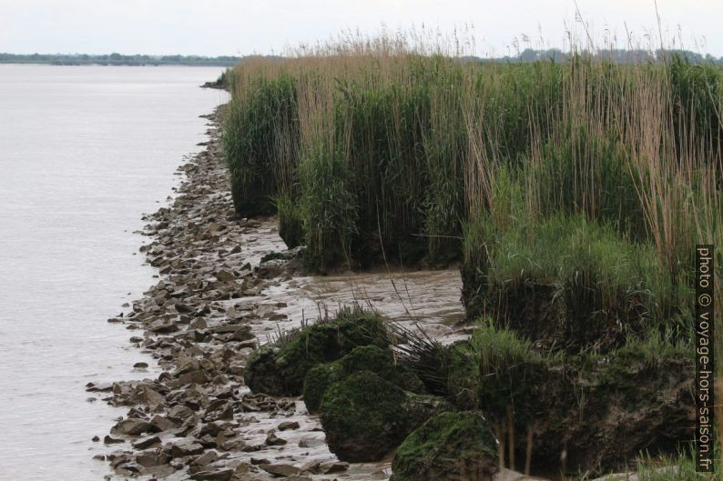 Berges peu stables de l'estuaire de la Loire. Photo © André M. Winter