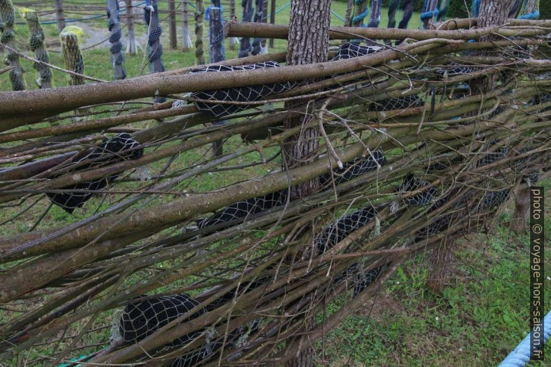 Exemple de support d'ostréiculture. Photo © André M. Winter