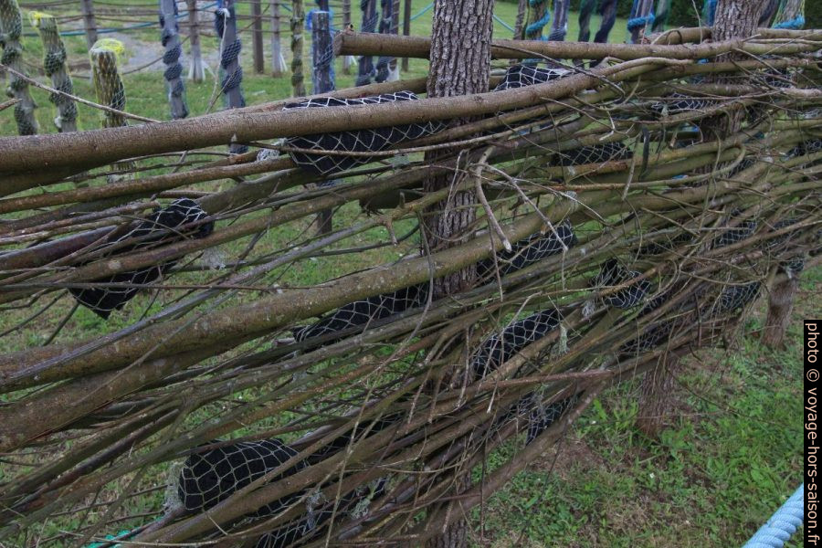 Exemple de support d'ostréiculture. Photo © André M. Winter