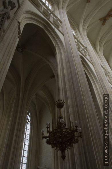 Verticalité de la Cathédrale Saint-Pierre-et-Saint-Paul de Nantes. Photo © Alex Medwedeff