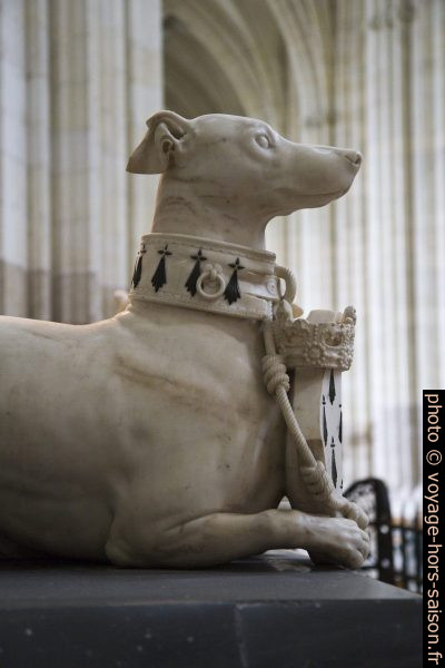 Le lévrier sur le tombeau de François II de Bretagne dans la Cathédrale de Nantes. Photo © Alex Medwedeff