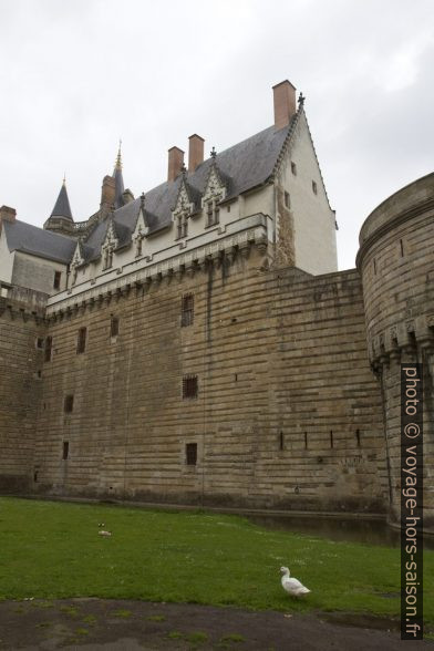 Mur d'enceinte derrière le Grand Logis du Château des ducs de Bretagne. Photo © Alex Medwedeff