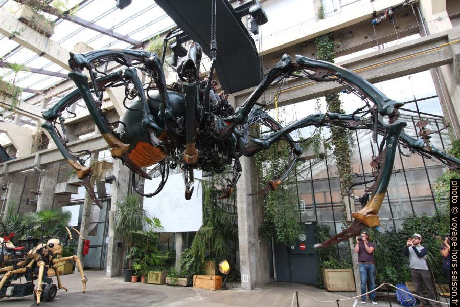 Araignée des Machines de l'Île en action. Photo © André M. Winter