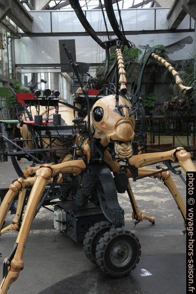 Un insecte géant dans la Galerie des Machines de Nantes. Photo © Alex Medwedeff