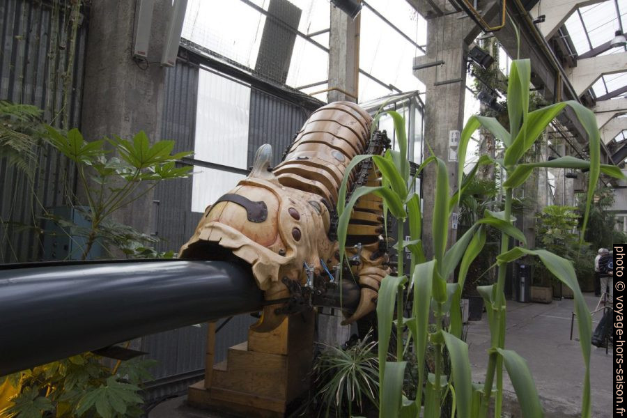 Une chenille géante de la Galerie des Machines de Nantes. Photo © André M. Winter