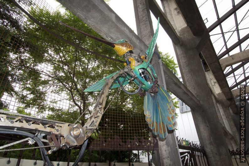 Un colibri de la Galerie des Machines de Nantes. Photo © André M. Winter