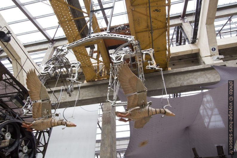 Les oies de Galerie des Machines de Nantes. Photo © André M. Winter