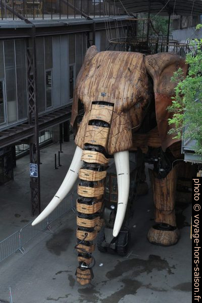 Le grand éléphant des Machines de l'Île de Nantes. Photo © Alex Medwedeff
