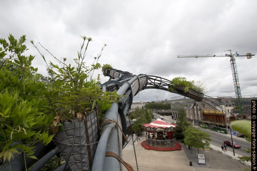 Une Branche de l'Arbre aux Hérons des Machines de l'Île de Nantes en 2018. Photo © André M. Winter