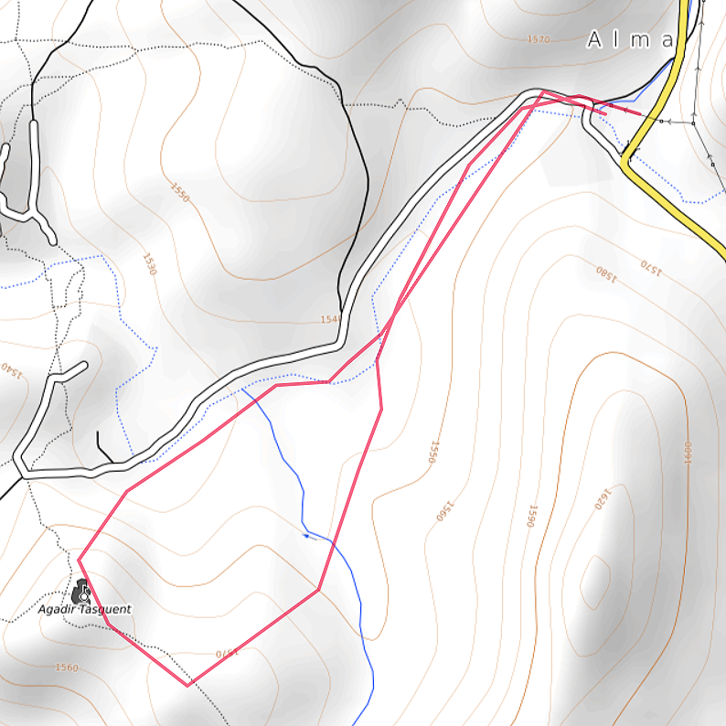 Carte OpenTopoMap des chemins à pied à l'agadir de Tasguent