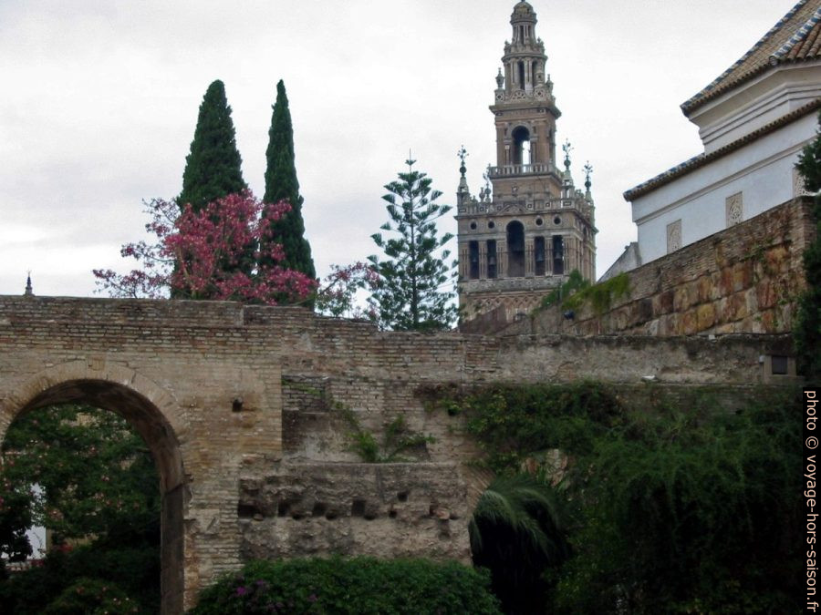 La Giralda vue de l'Alcázar de Séville. Photo © Alex Medwedeff