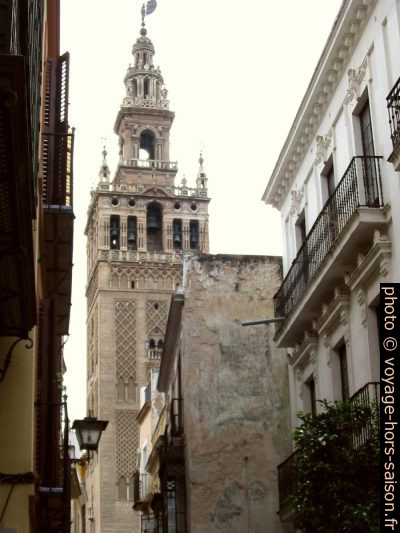 La Giralda de la Catedral de Santa María de Sevilla. Photo © Alex Medwedeff