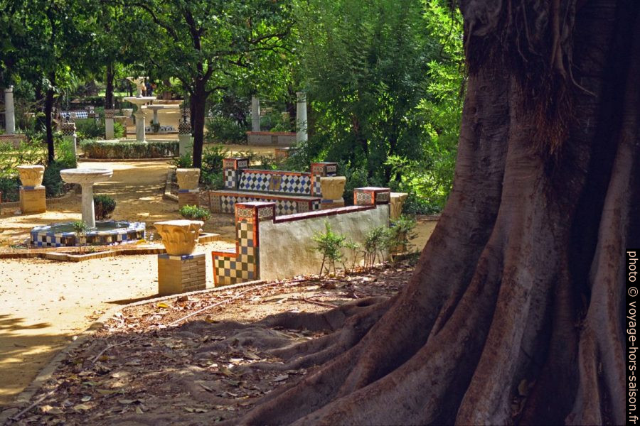 Jardines de Murillo. Photo © Alex Medwedeff