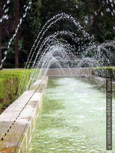 Bassin et fontaine dans le Parque María Luisa. Photo © Alex Medwedeff
